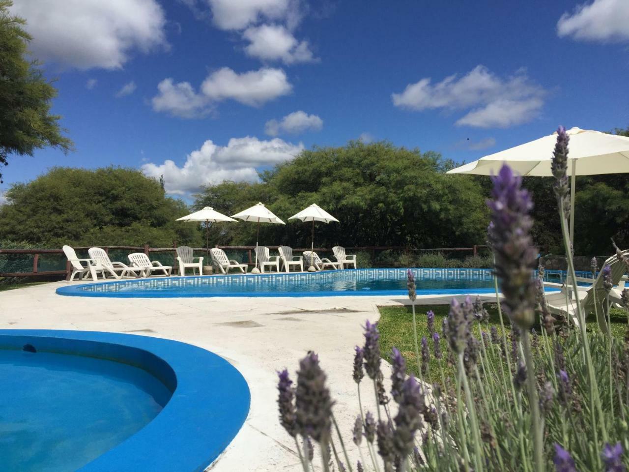 Cabanas Los Algarrobos Villa General Belgrano Zewnętrze zdjęcie